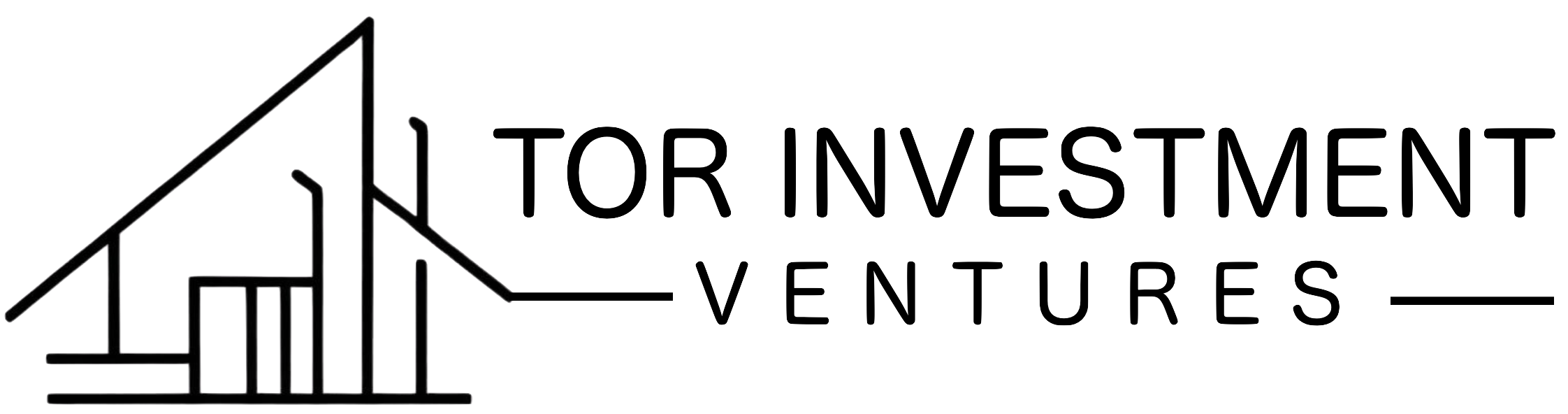 torinvestmentventures.com
